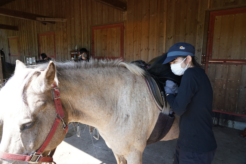 きつ過ぎてもだめ。馬が苦しくならない程度にする