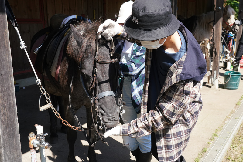 馬の頭に頭絡とハミを付ける