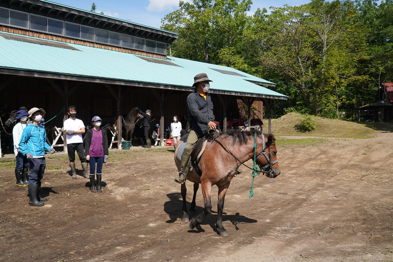手綱で左を引き、目線を左に向けると、自然と馬も曲がってくれる