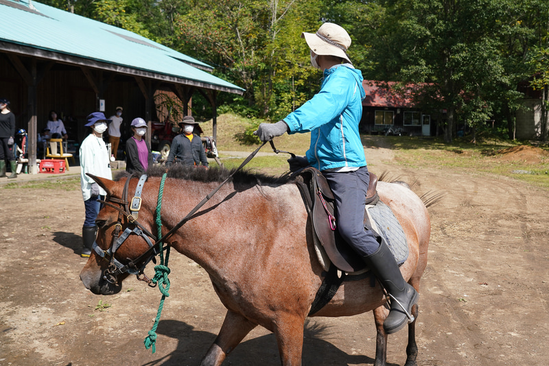 初めてにしては、上出来な手綱さばき