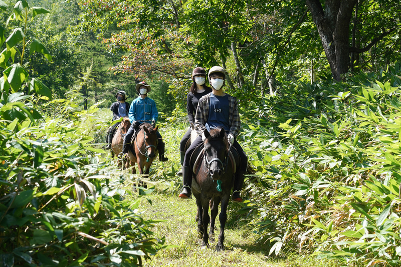 ゆったりと森のなかを馬で進む