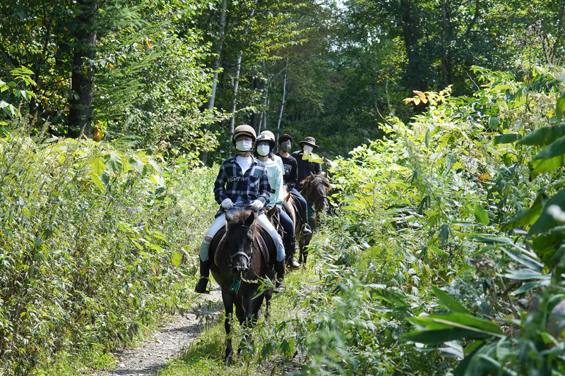姿勢よく静かに