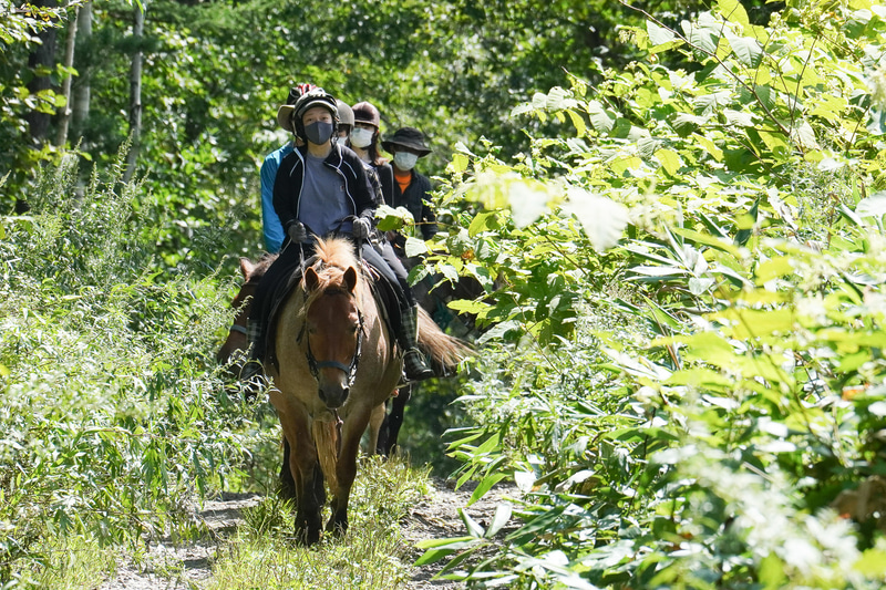 みんな、とても気持ちよさそう