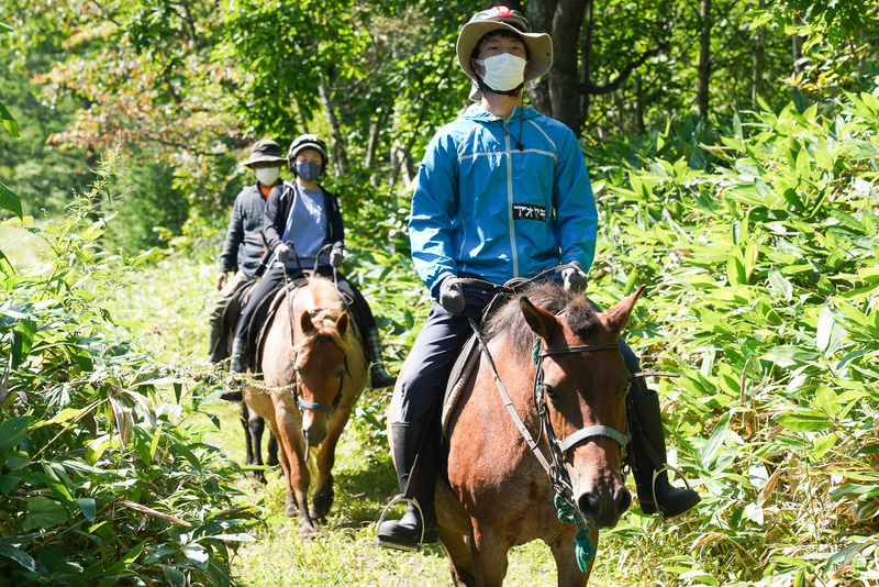 木漏れ日が気持ちよさそう