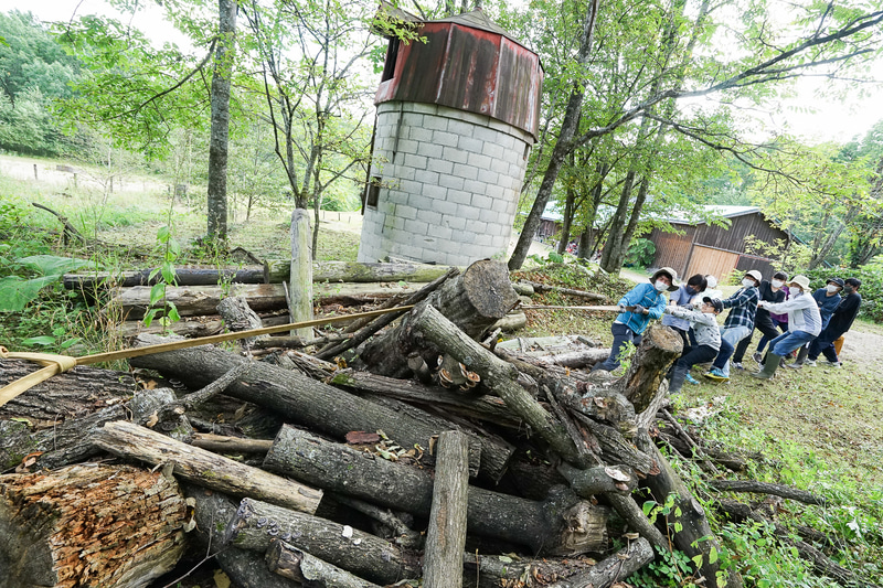 大きな丸太と綱引きしてもビクともしない