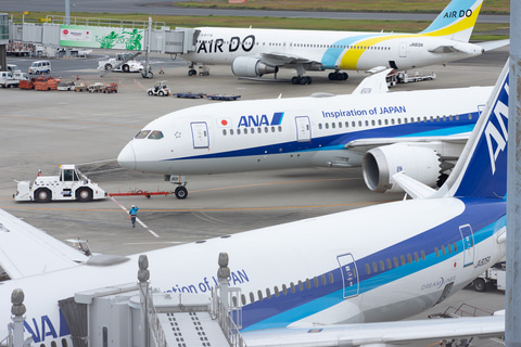 【希少】ANA 全日空 フライトタグ 787 就航10周年 Amazon.co.jp: ANA 全日空 フライトタグ 787 就航10周年
