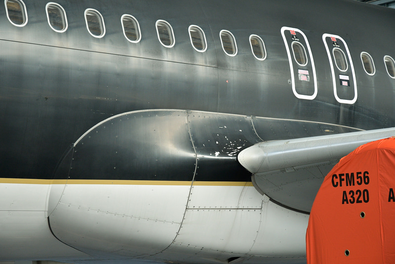 主翼の付け根付近は塗装剥がれの箇所が確認できた