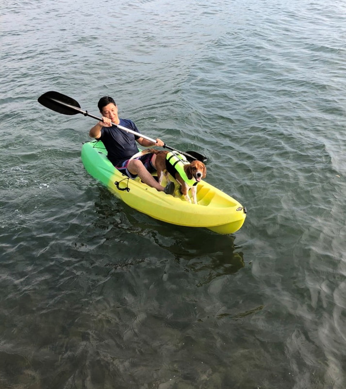 カヤック、SUPの60分体験が可能だ