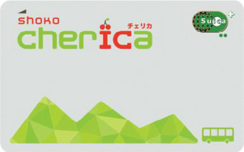 shoko cherica（ショウコウ チェリカ）