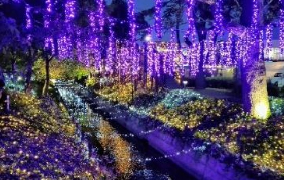 倉敷みらい公園イルミネーション「くらしき きらめきのみち」