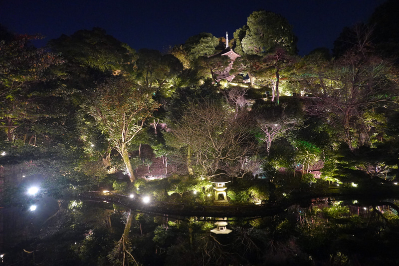 1000灯の光で木々を照らしだす庭園ライトアップ