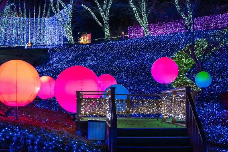 スタートした2009年は約100万球だったのが年々進化を続け今年は関東最大級の600万球を使ったイルミネーションイベントとなっている「さがみ湖イルミリオン」