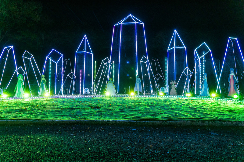 おなじみの楽曲と連動したイルミネーションショーは必見！　何度も見たくなる完成度だ