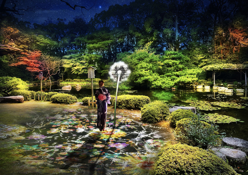 DANDELION PROJECT 平安神宮