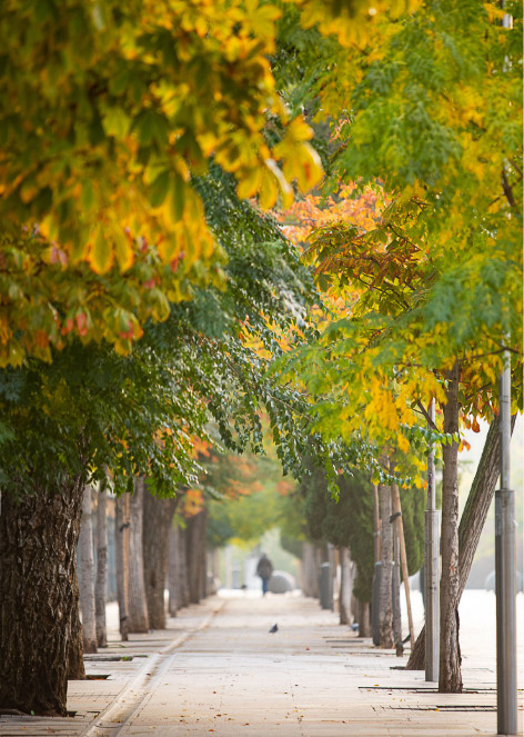 Paseo del Prado（プラド通り）&copy;Miguel Sánchez-Moñita