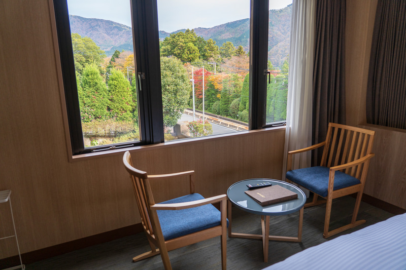 窓が多い角部屋。箱根登山電車も見えます