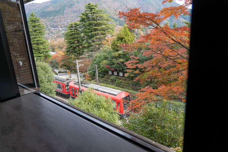 紅葉とトレインビューを楽しめるタイプのお部屋もありました