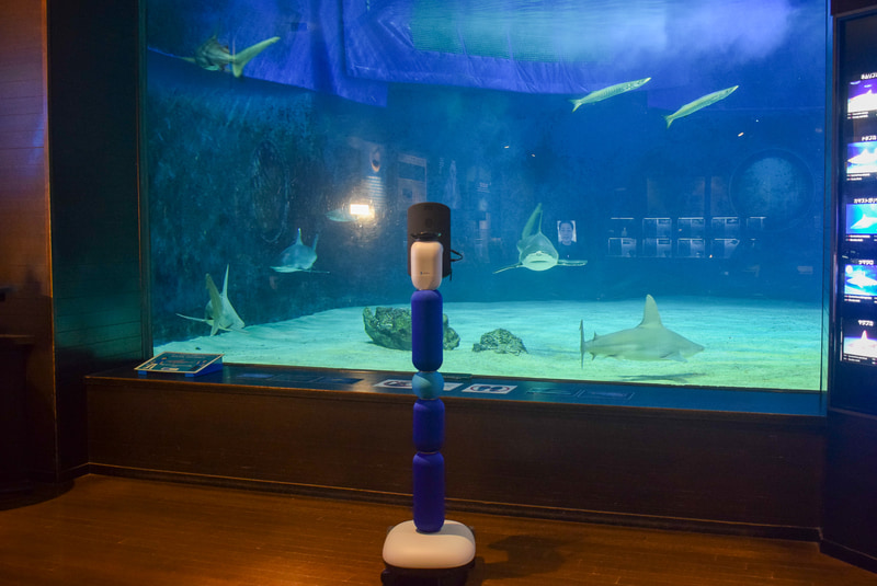 avatarinと沖縄美ら海水族館が「アバターインナイト」を開始