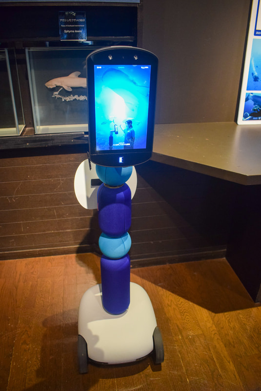 アバター「newme」。前後の移動、回転のほか、目線（画面）の上げ下げを遠隔操作できる