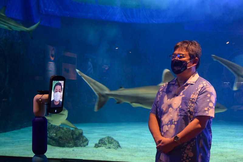 水槽の前であいさつするavatarin株式会社 代表取締役CEOの深堀昂氏（画面）と沖縄美ら海水族館 副館長の佐藤圭一氏（右）