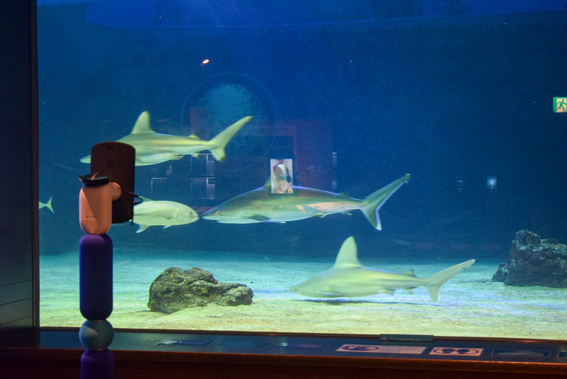 avatarinのスタッフのアドバイスですぐに操作をマスター。水槽のサメたちに歓声をあげる参加者