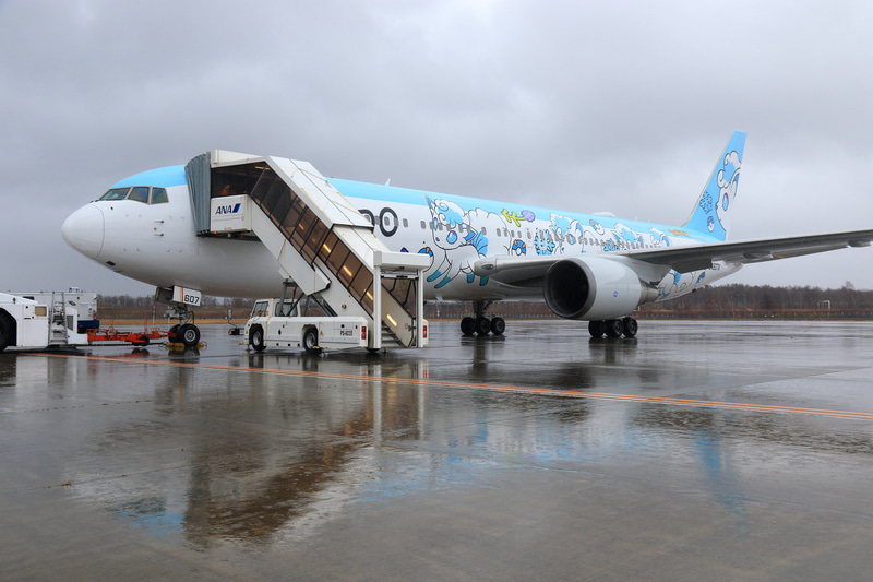 ロコンの描かれた機体右側面とアローラロコンの描かれた機体左側面