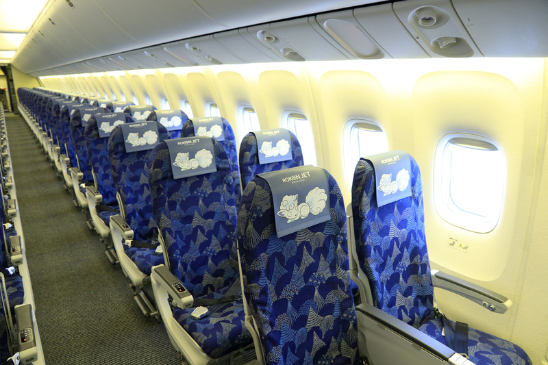 左側座席は真っ白なアローラロコン