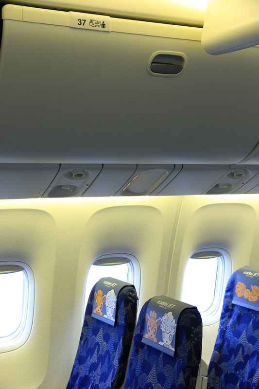 ロコンのポケモン図鑑番号である37列目にも中央座席と同様のヘッドレストカバーが