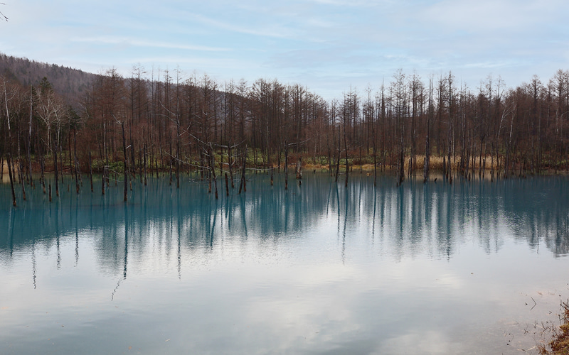 初冬の曇天、これはこれで幻想的