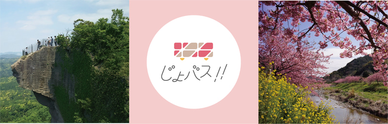 バスガイド付き無料観光周遊バス「じょバス!!」を運行開始