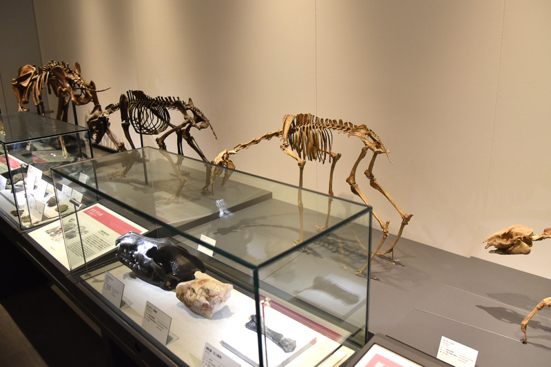 「燃える石の時代」として石炭と同時代を取り上げた展示