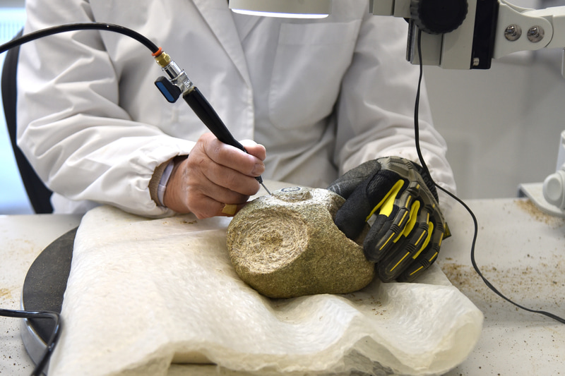 見学時は貝の化石を削り出している真っ最中だった