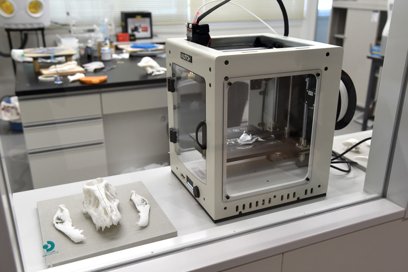 データを3Dプリンタで再現する