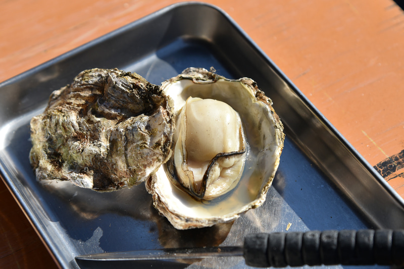 ぷりぷりの牡蠣。瀬戸内レモンをかけたり、バター醤油で味わおう