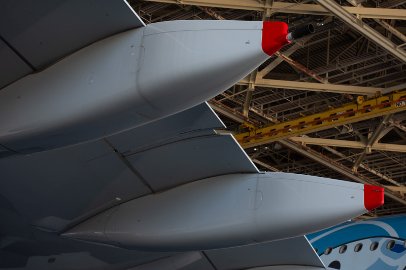 洗浄する前の機体。特に雨だれ汚れが目立つ。水や洗剤の入ってほしくない部分（ピトー管など）はマスキングしている