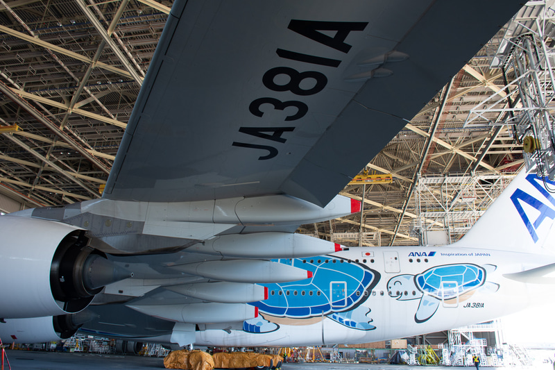 洗浄する前の機体。特に雨だれ汚れが目立つ。水や洗剤の入ってほしくない部分（ピトー管など）はマスキングしている