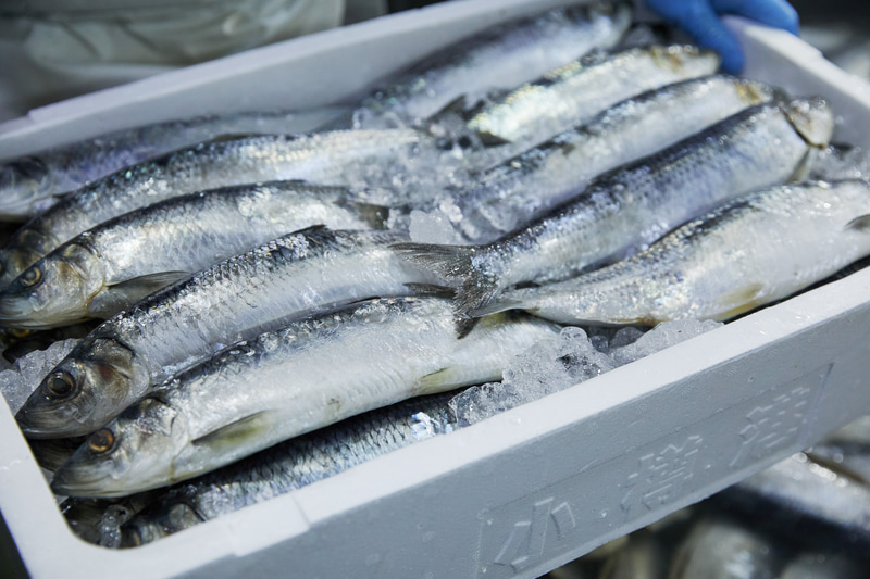 骨まで食べれるように開発された「ニシンのミックスパエリア」