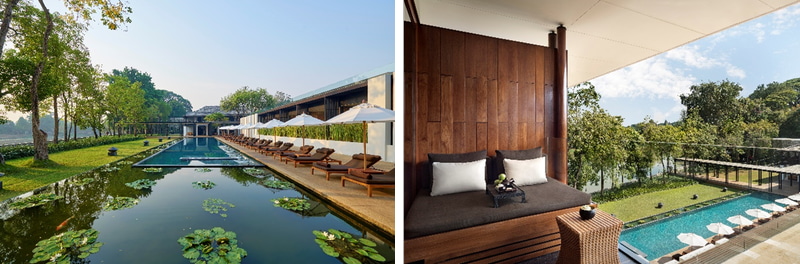 午年にお勧めの旅先・ロサンゼルス