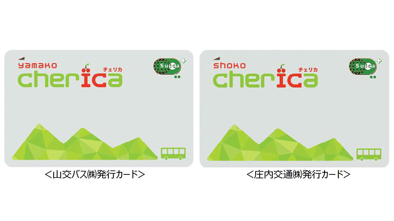 山交バスと庄内交通が発行する地域連携ICカード「cherica（チェリカ）」のサービス開始日が5月14日に決定