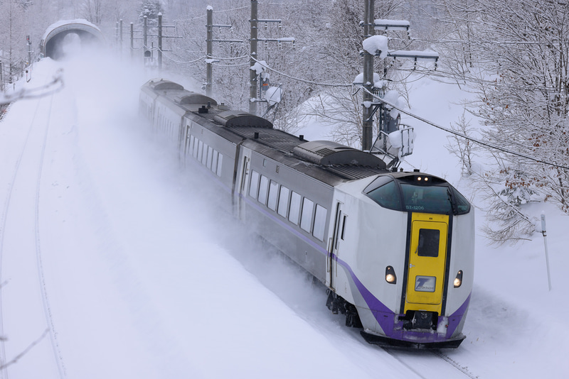 鉄道が豪雪に見舞われると何が起きるのか