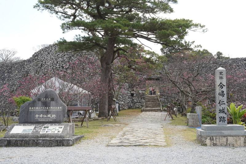 取材当日はあいにくの天気だったが、晴れていればこんな景色を楽しめる（提供写真）