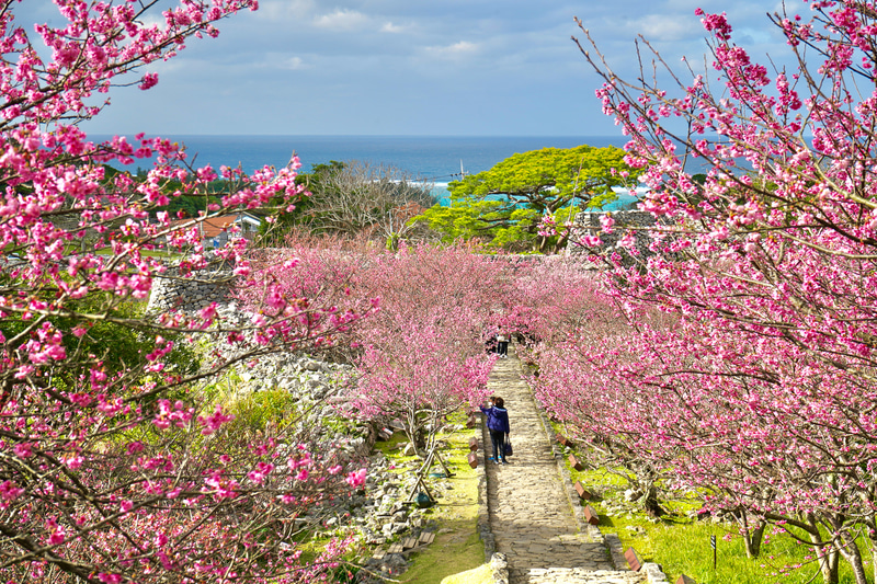 取材当日はあいにくの天気だったが、晴れていればこんな景色を楽しめる（提供写真）