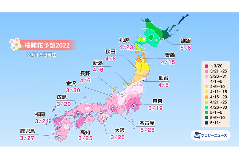 第三回桜開花予想