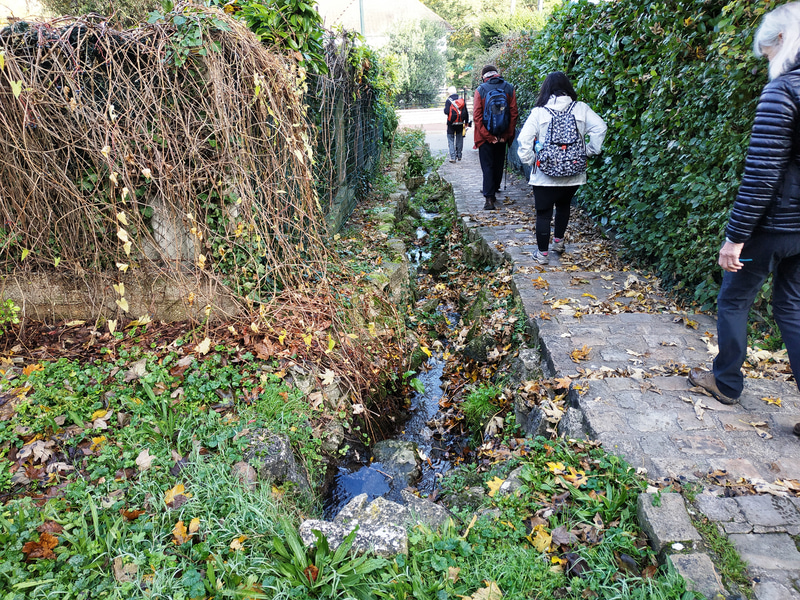 さらに小川に沿って下って行きます