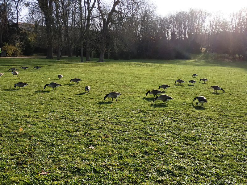ボワ・プレオ公園
