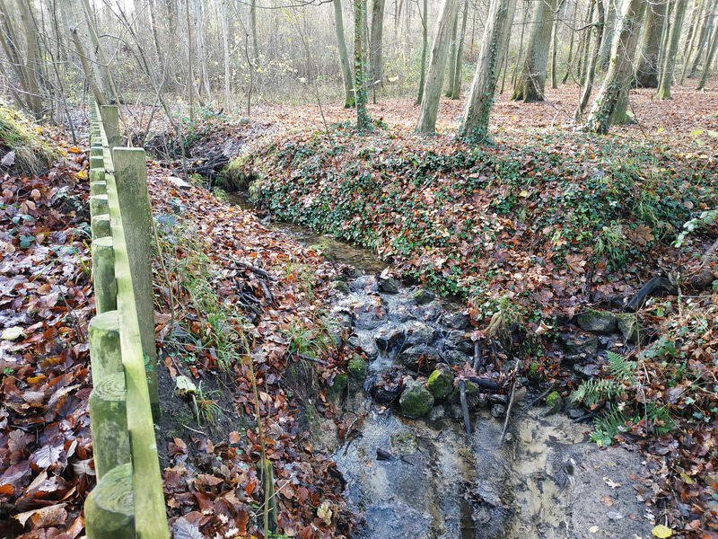 マルメゾンの森