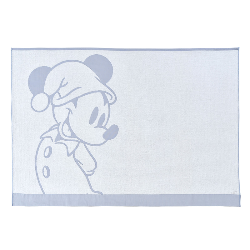 ブランケット（3520円）