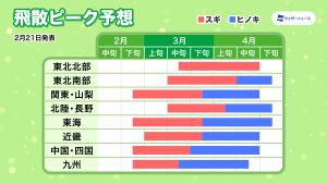 飛散ピーク予想