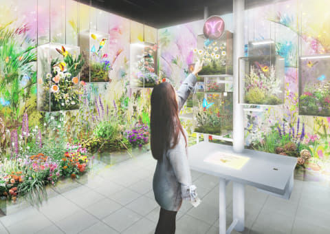 進化系フラワーアート施設「NAKED FLOWERS FOR YOU」国内初常設