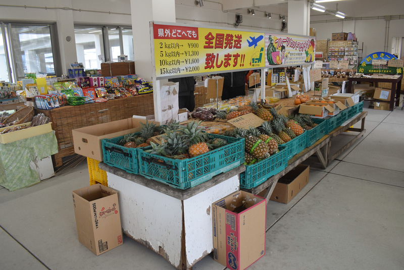 パイナップルをはじめ、南国フルーツが揃う。県外発送も可能